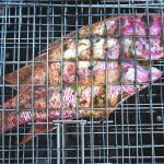 fish-in-grid