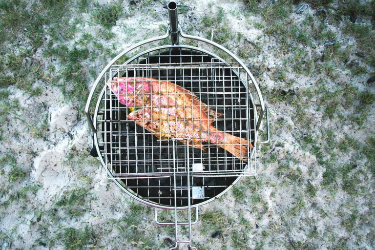 Braaied Fish with Tacos and Coleslaw