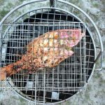 fishongrid