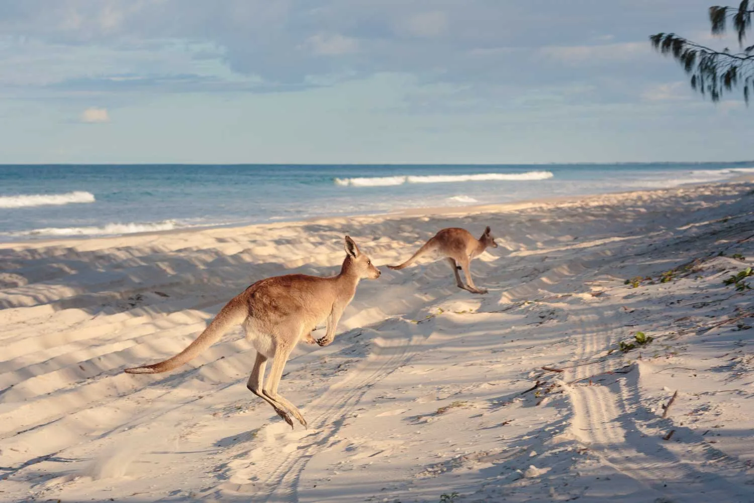 Bribie Island National Park