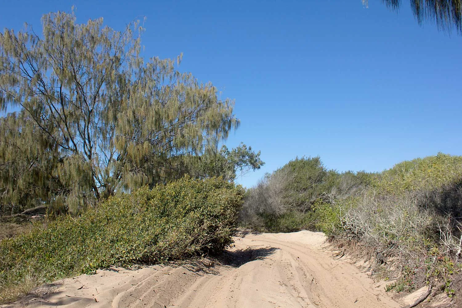 Burrum Coast National Park