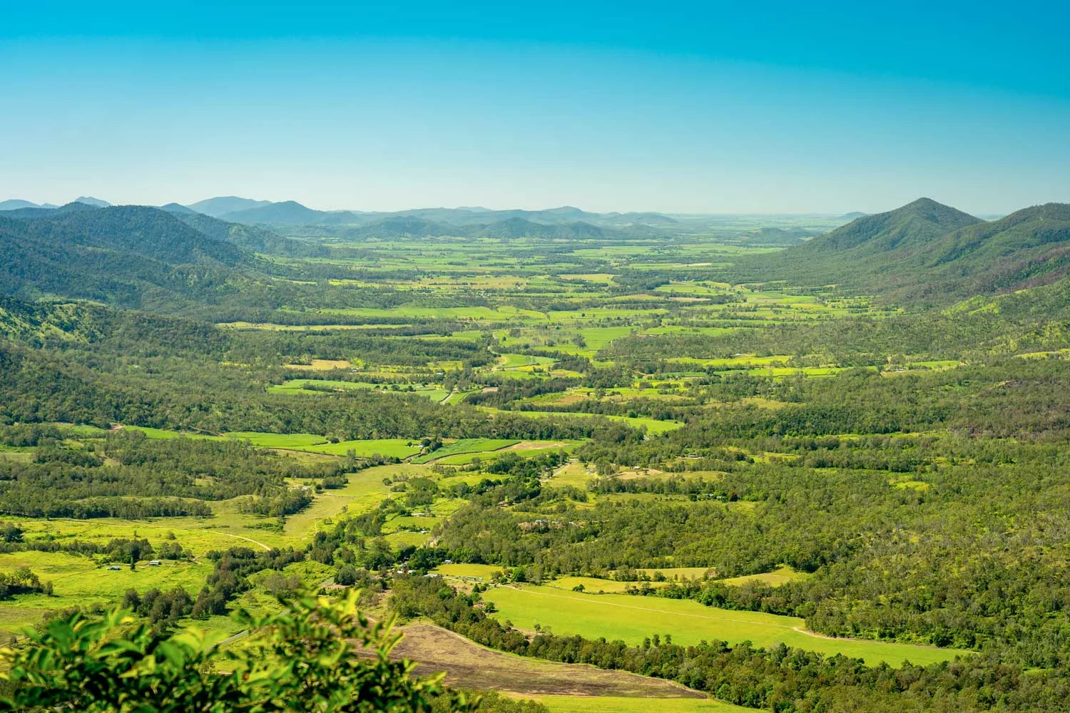Eungella National Park
