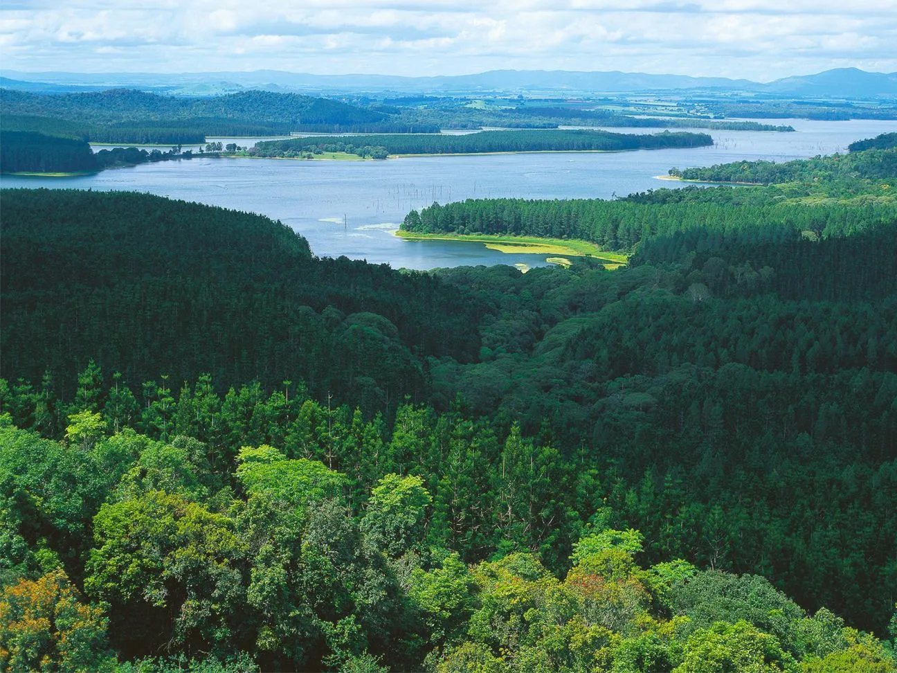 Danbulla Lake Tinaroo